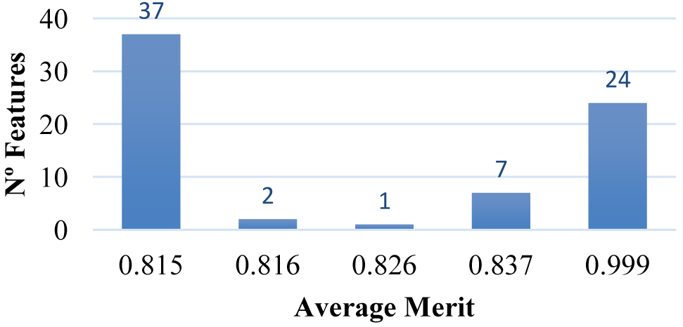 Figure 3: Average merit of information gain attribute selection after used metalearner-chi-squared KLR with 10-fold cross-validation.