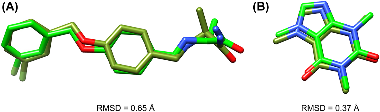Figure 5: 
(A) Superposition and RMSD of crystal (green) and docked (olive green) structure of safinamide. (B) Superposition and RMSD of crystal (green) and docked (olive green) structure of caffeine.