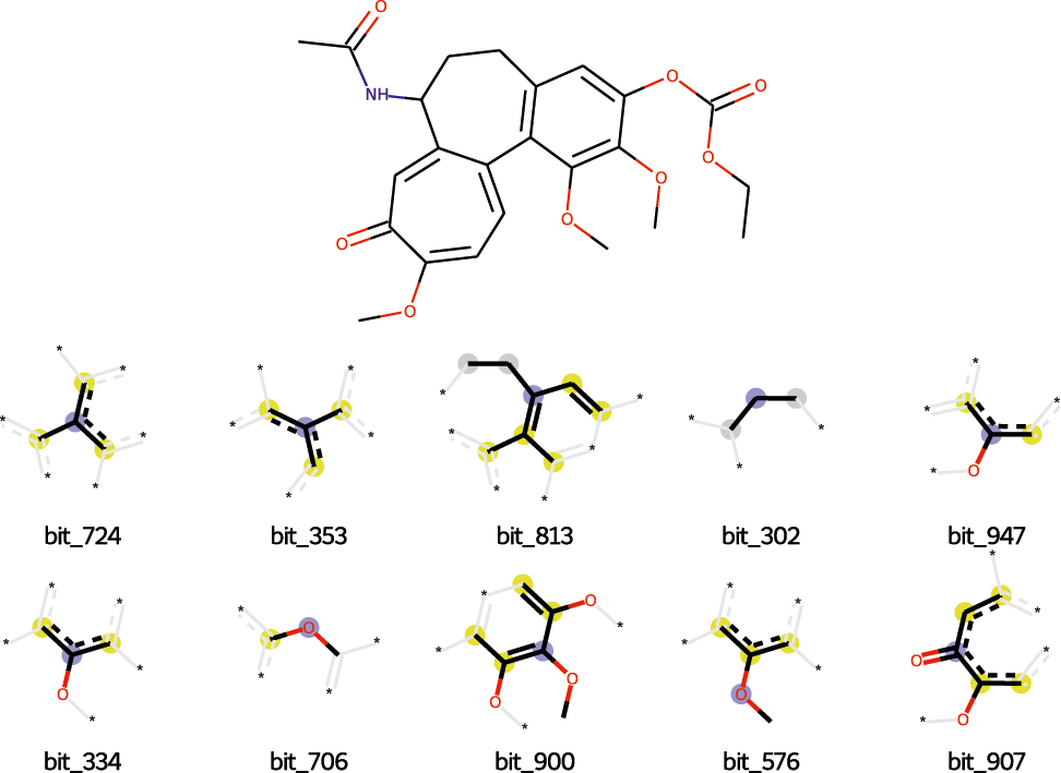 Figure 9:
Molecular fragments corresponding to the ten ECFP4 bits that contribute the most towards the prediction for sample 537 from the NCI 1 test set.