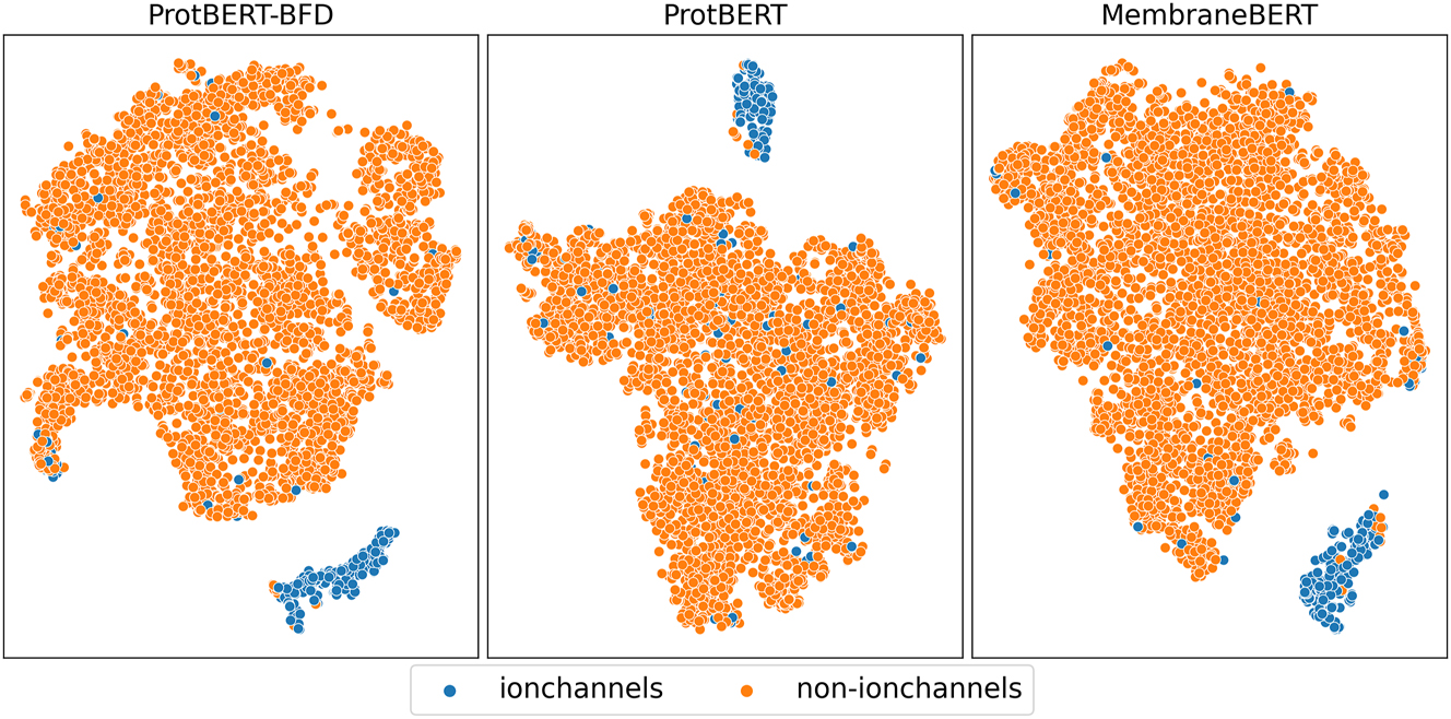 Figure 6:
t-SNE plot of BERT representations. A t-SNE plot is shown in this figure, illustrating the two-dimensional representations of the sequences obtained from ProtBERT, ProtBERT-BFD, and MembraneBERT for the ion channel and non-ion channel classes in the dataset. The ion channel sequences are plotted in blue, while the non-ion channel sequences are plotted in orange.