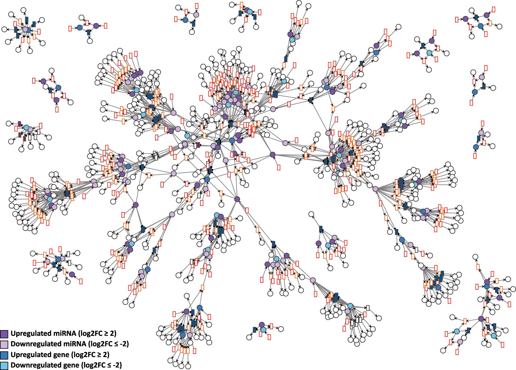Figure 6: 
D15P Petri net visualized using the GEM layout. Genes and miRNA are the colored places, whilst transcript isoforms are the colored transitions. Labels and tokens are omitted for visibility.
