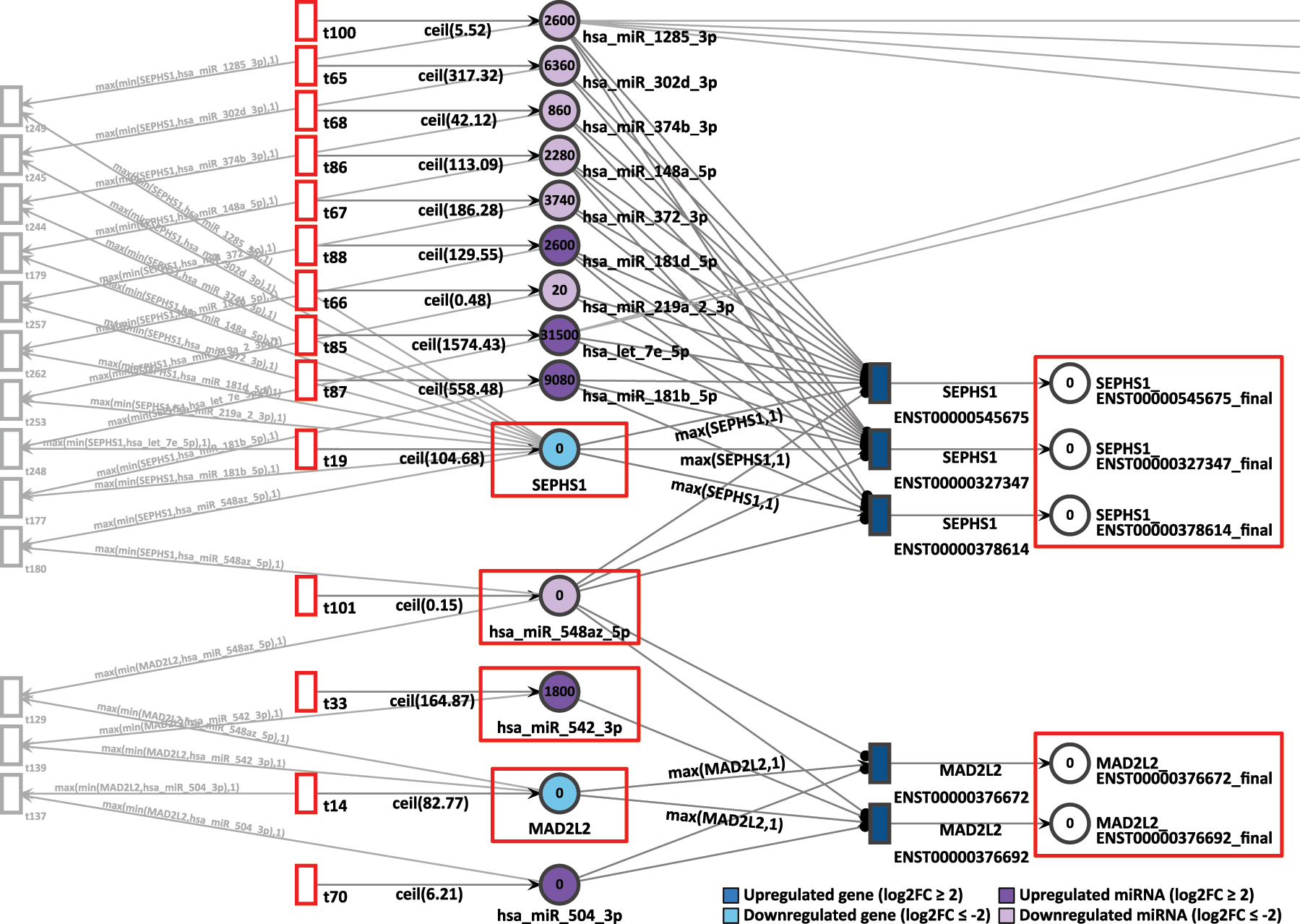 Figure 9: 
D9P Petri net, focus on the interconnected genes MAD2L2 and SEPHS1, interconnected through the common target miRNA hsa-miR-548az-5p. Genes and miRNA are the colored places, whilst transcript isoforms are the colored transitions.
