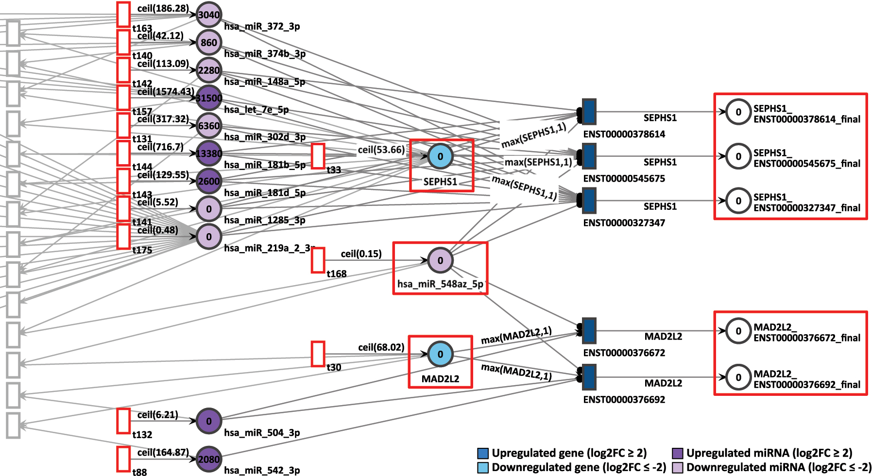 Figure 10: 
D15P Petri net, focus on the interconnected genes MAD2L2 and SEPHS1, interconnected through the common target miRNA hsa-miR-548az-5p. Genes and miRNA are the colored places, whilst transcript isoforms are the colored transitions.
