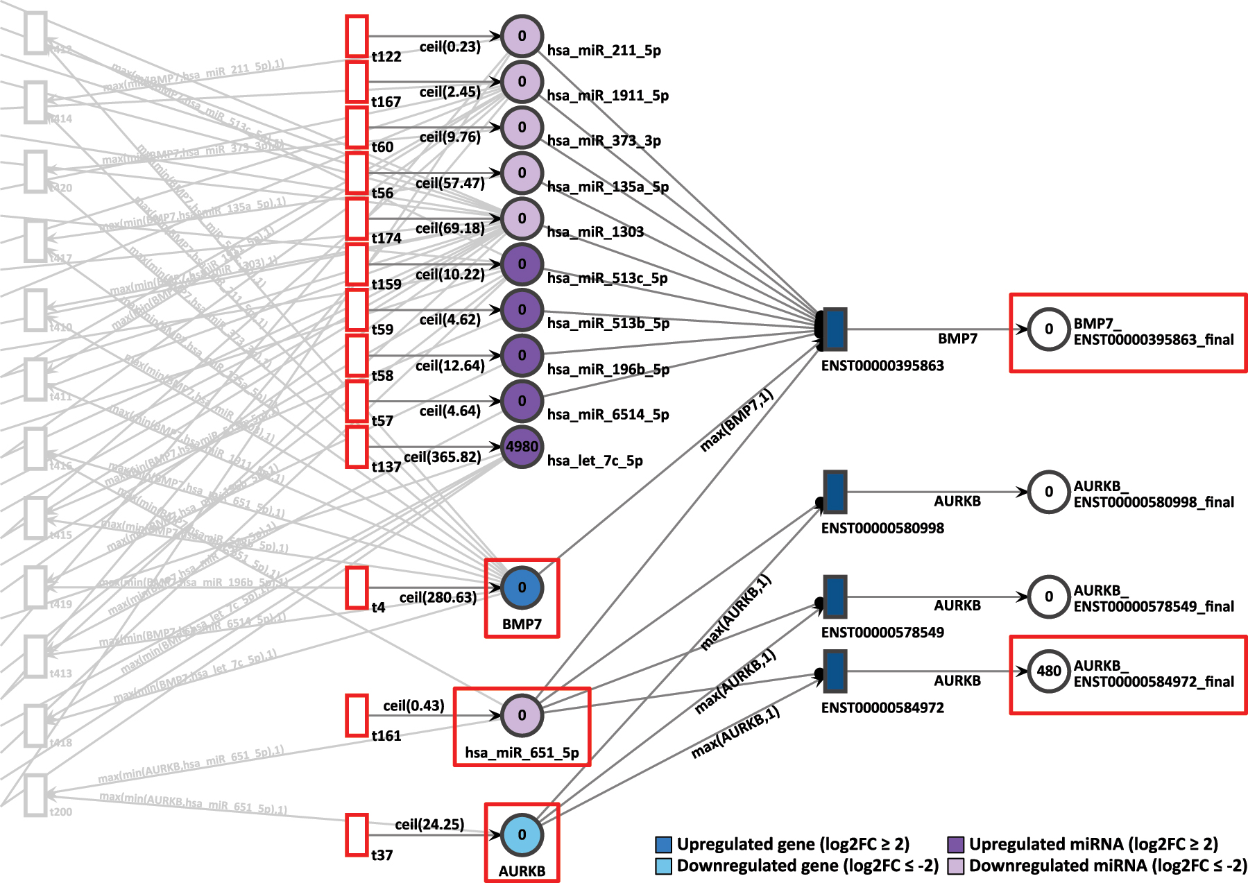 Figure 11: 
D15P Petri net, focus on the interconnected genes AURKB and BMP7, interconnected through the common target miRNA hsa-miR-651-5p. Genes and miRNA are the colored places, whilst transcript isoforms are the colored transitions.

