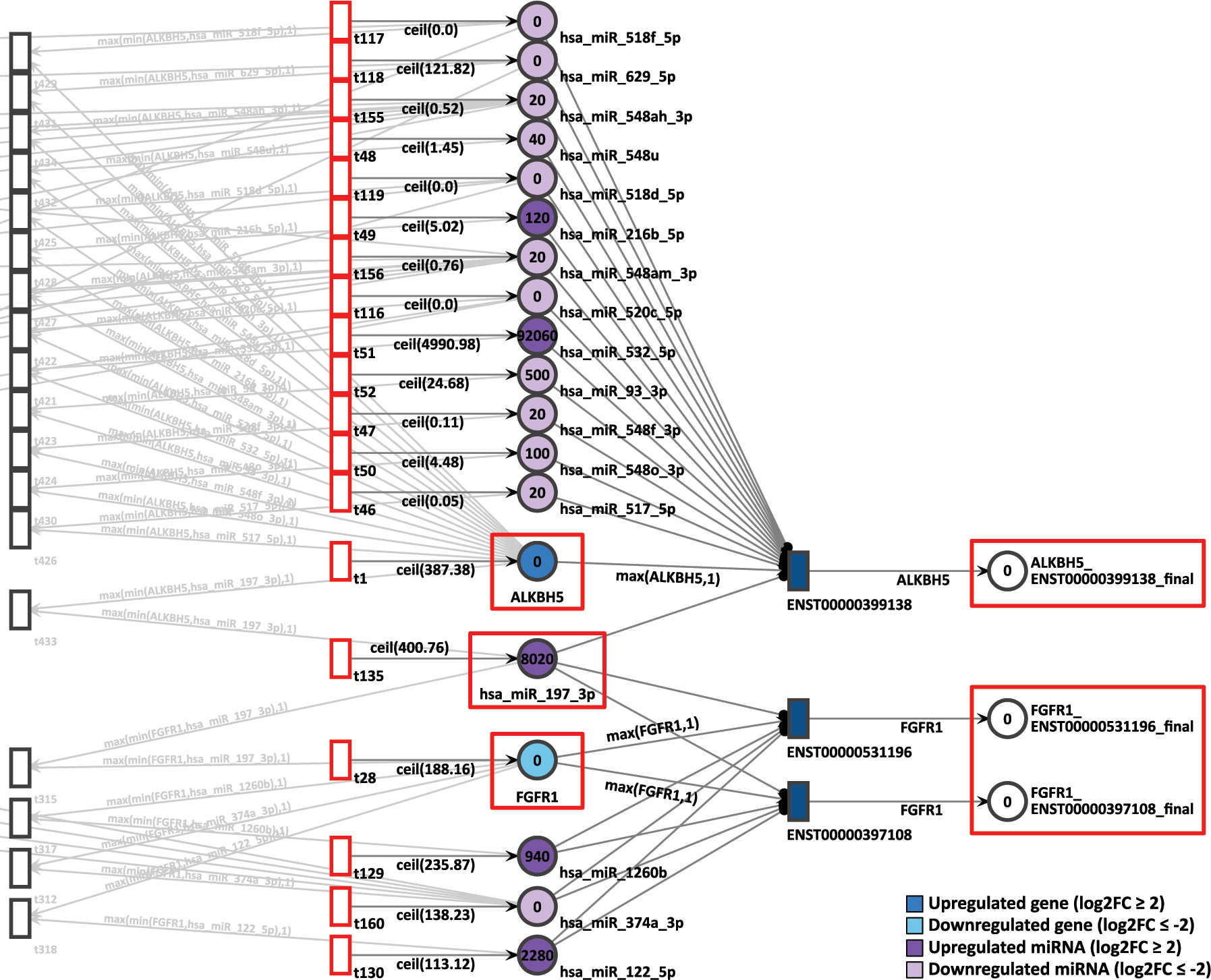 Figure 12: 
D15P Petri net, focus on the pair of genes ALKBH5 and FGFR1, interconnected through the common target miRNA hsa-miR-197-3p. Genes and miRNA are the colored places, whilst transcript isoforms are the colored transitions.
