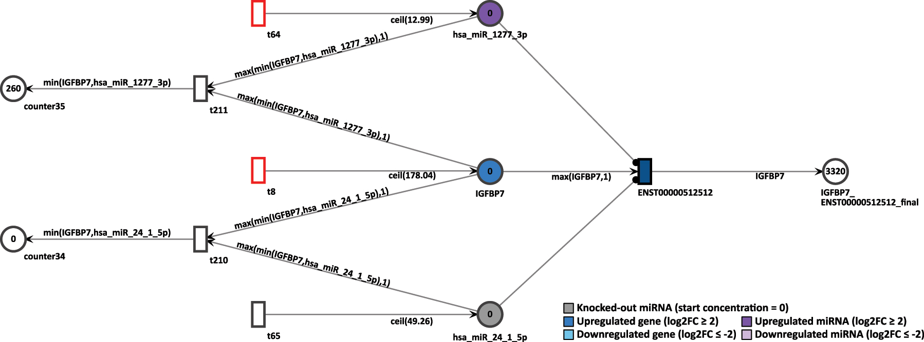 Figure 14: 
Simulation of the IGFBP7 gene after the miRNA hsa-miR-24-1-5p knockout in the D15P Petri net.
