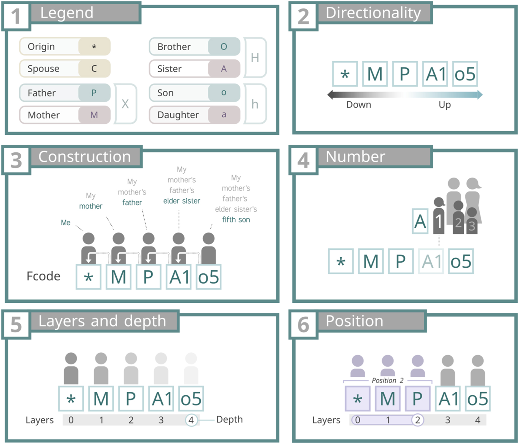 Figure 1: 
Panel 1 shows the symbols used to encode direct relationships and the origin of coordinates (OC). Panel 2 illustrates directionality, with “down” indicating a direction toward the OC and “up” the opposite. Panel 3 depicts the construction of kinships by adding upper layers and numbers. Panel 4 explains the encoding of birth order with numbers. Panel 5 clarifies the concepts of layers (a combination of a symbol and a number) and depth (the total number of layers). Finally, panel 6 visually represents position, defined as a layer and all downward layers leading to the OC.
