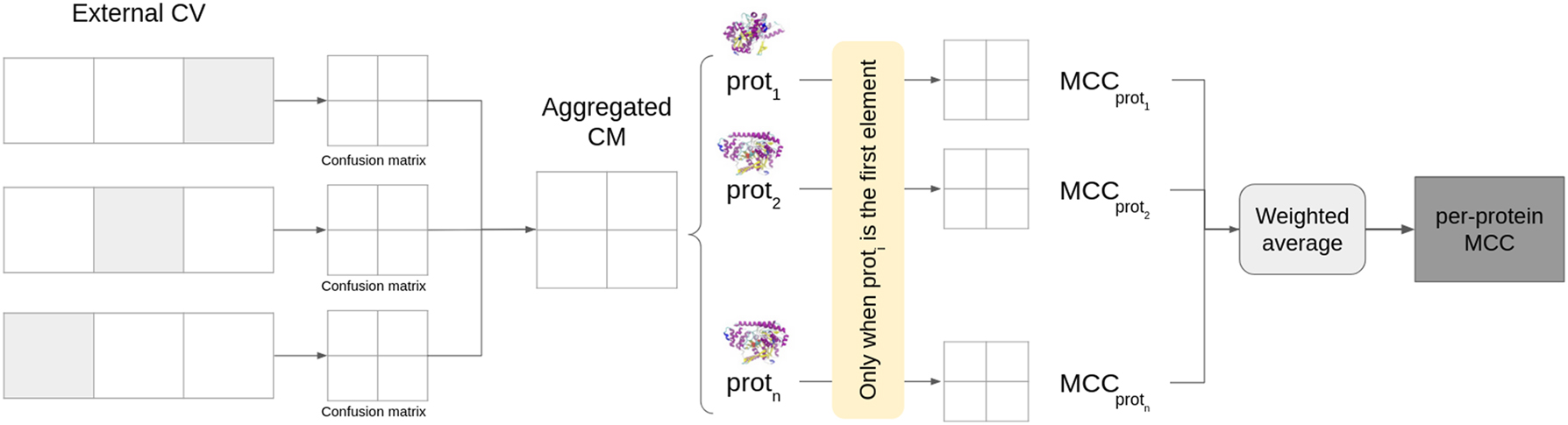 Figure 1:
Steps to compute the per-protein MCC.