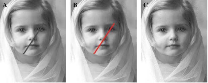 Figure 10 Results with Scratch on Edges (Nice4): Patch Size 7×7.