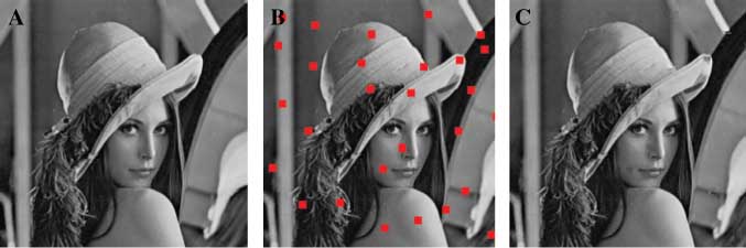 Figure 12 Image Repairing Example (Lenna): Patch Size 9×9.