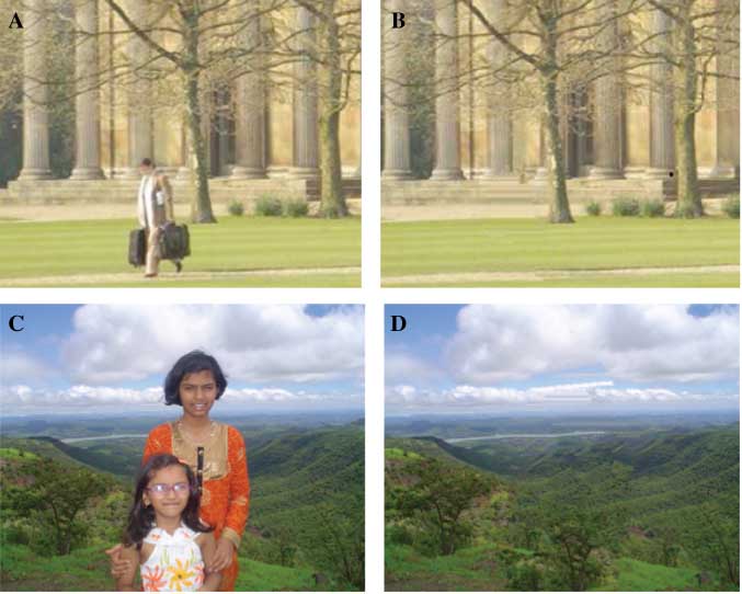 Figure 5 Large-Object Removal.(A, C) Original Photographs. (B, D) The Region Corresponding to the Foreground Person (Approximately 7 and 22%, Respectively, of the Image) has been Manually Selected and then Automatically Removed. Notice that the Background Structures and Texture have been Synthesized.