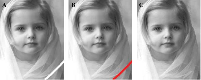 Figure 7 Nice1: Patch Size 9×9.