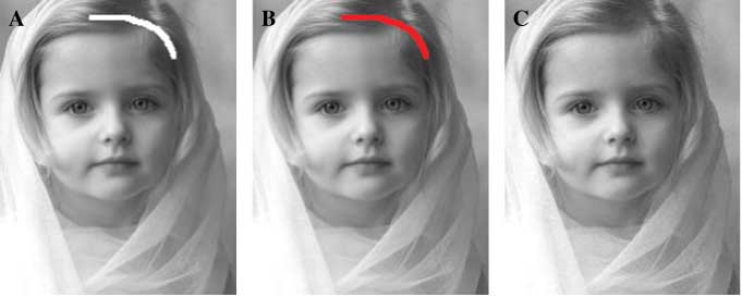 Figure 8 Nice2: Patch Size 9×9.