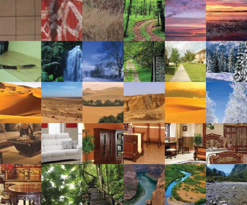 Figure 2 Samples of Non-skin.