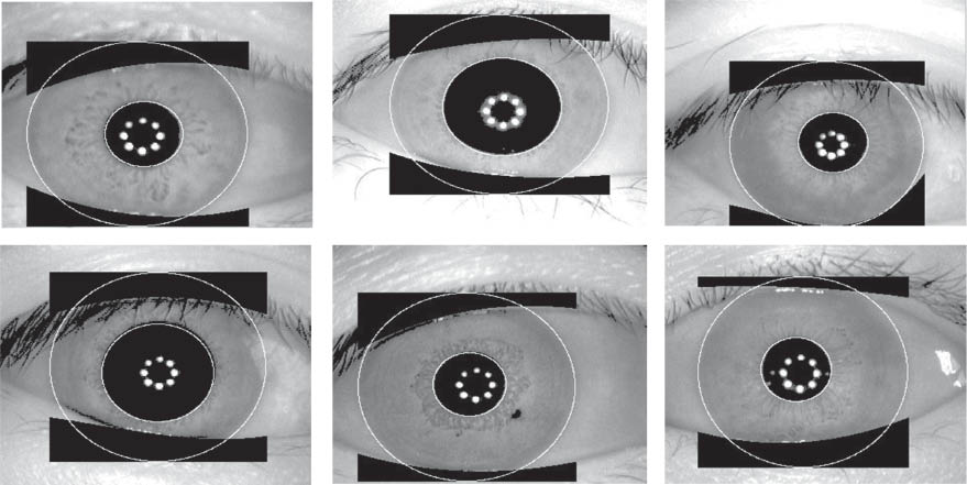 Figure 18. Successful Localization of the Upper and Lower Eyelids by the Proposed Method on Various Challenging Iris Images.