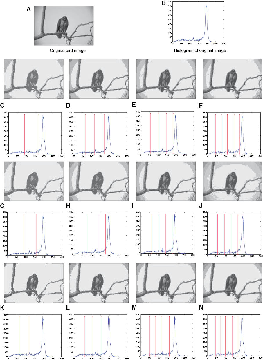 Figure 4: Results of Bird Image Using the HS Algorithm.(A) Original bird image, (B) histogram of original image, (C–F) two-level to five-level thresholding-based segmented image with the best thresholds obtained from the HS algorithm using Kapur’s entropy criterion, (G–J) two-level to five-level corresponding histogram labeled with the best threshold values obtained from the HS algorithm based on the between-class variance criterion, (K–N) two-level to five-level thresholding-based segmented image with the best thresholds obtained from the HS algorithm using Tsallis entropy criterion.