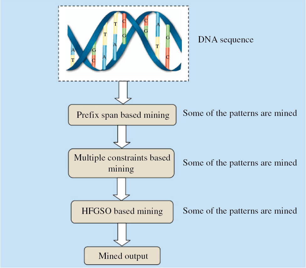 Figure 1: Overall Diagram of the Proposed DNA Sequence Mining.