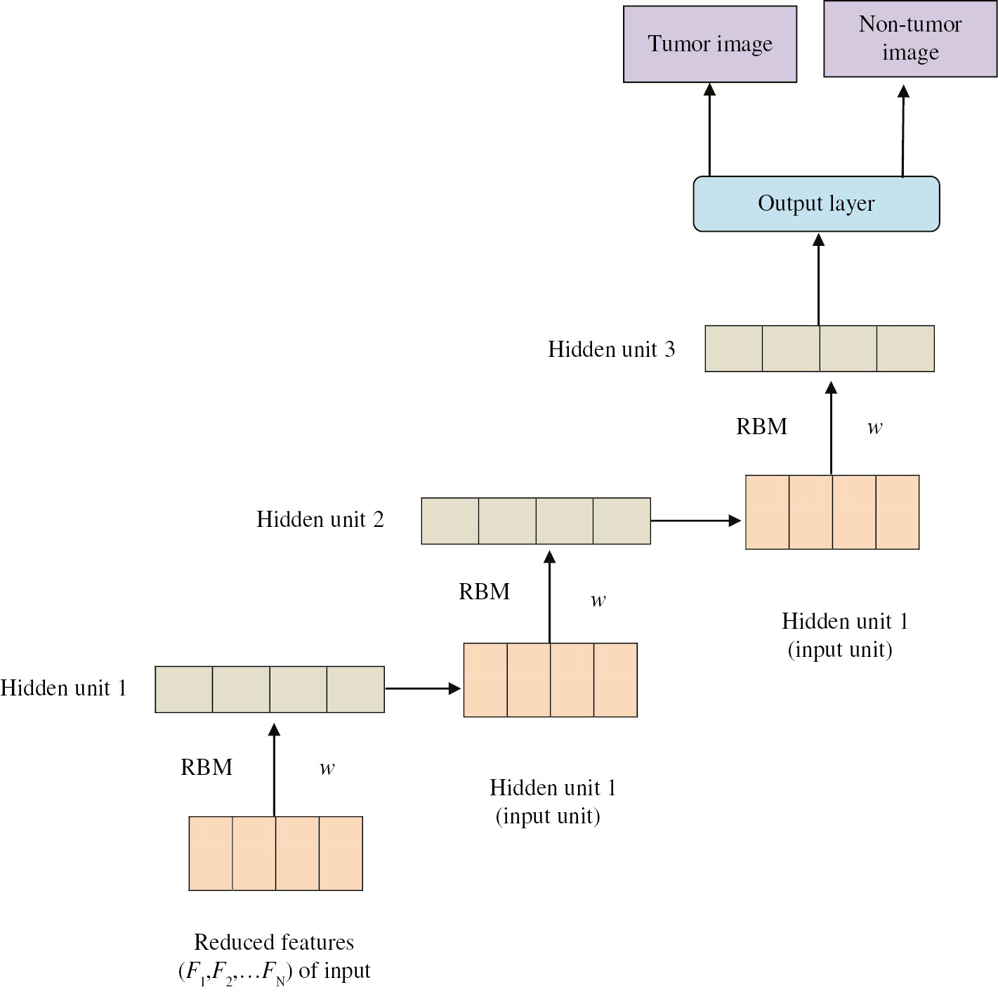 Figure 2: Proposed DBN with Three Hidden Layers.