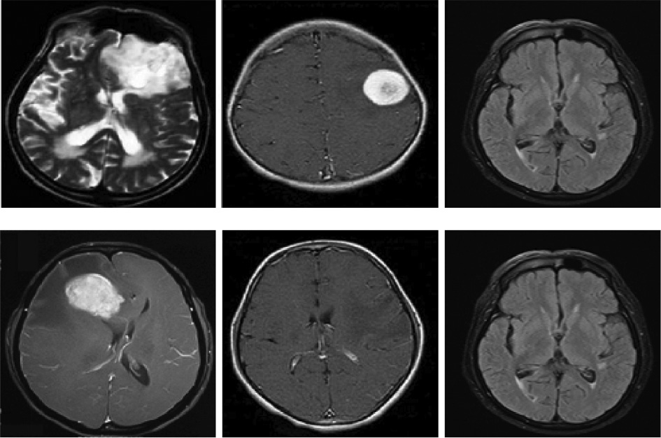 Figure 4: Sample Experimental Used Images.