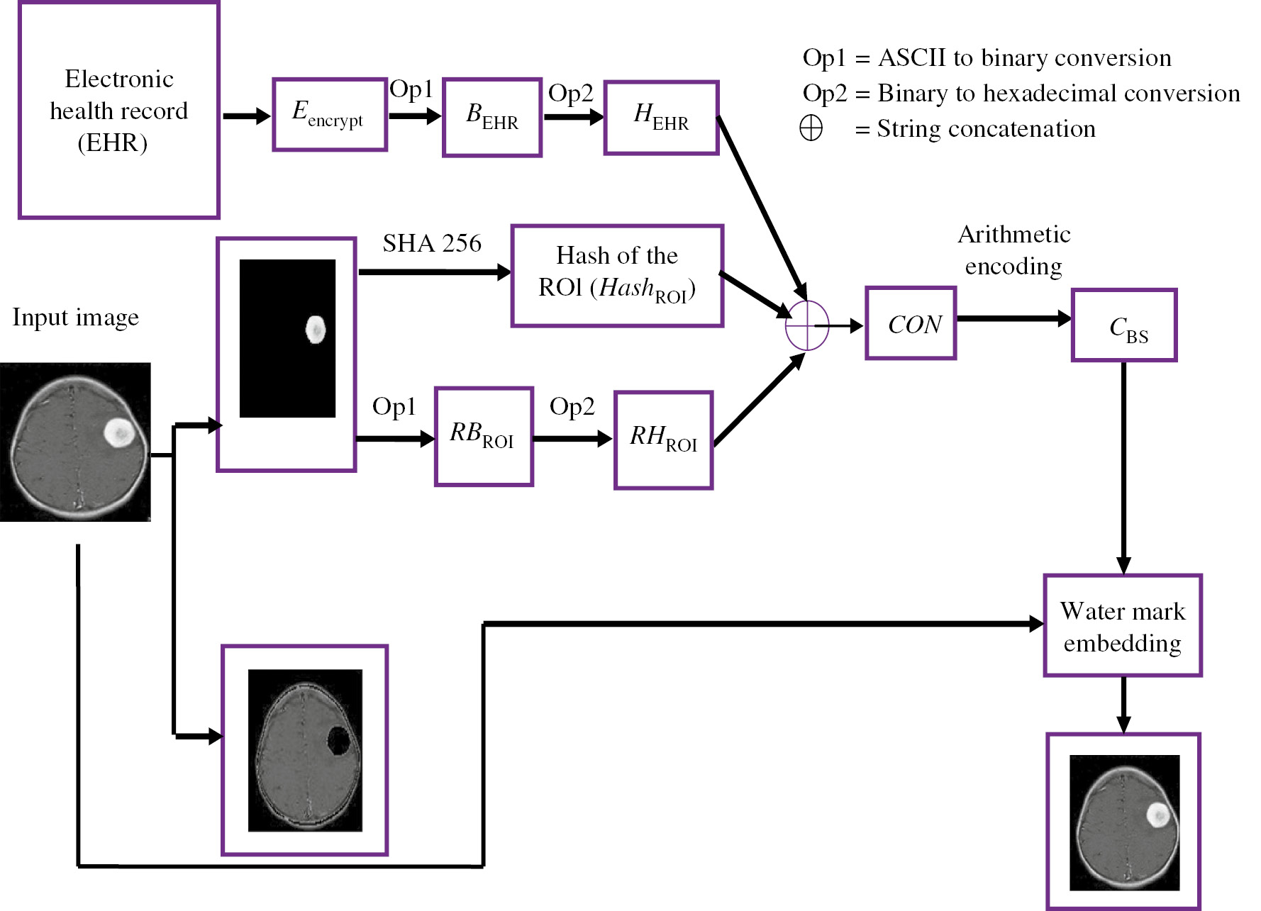 Figure 5: Proposed Watermark Embedding Process.