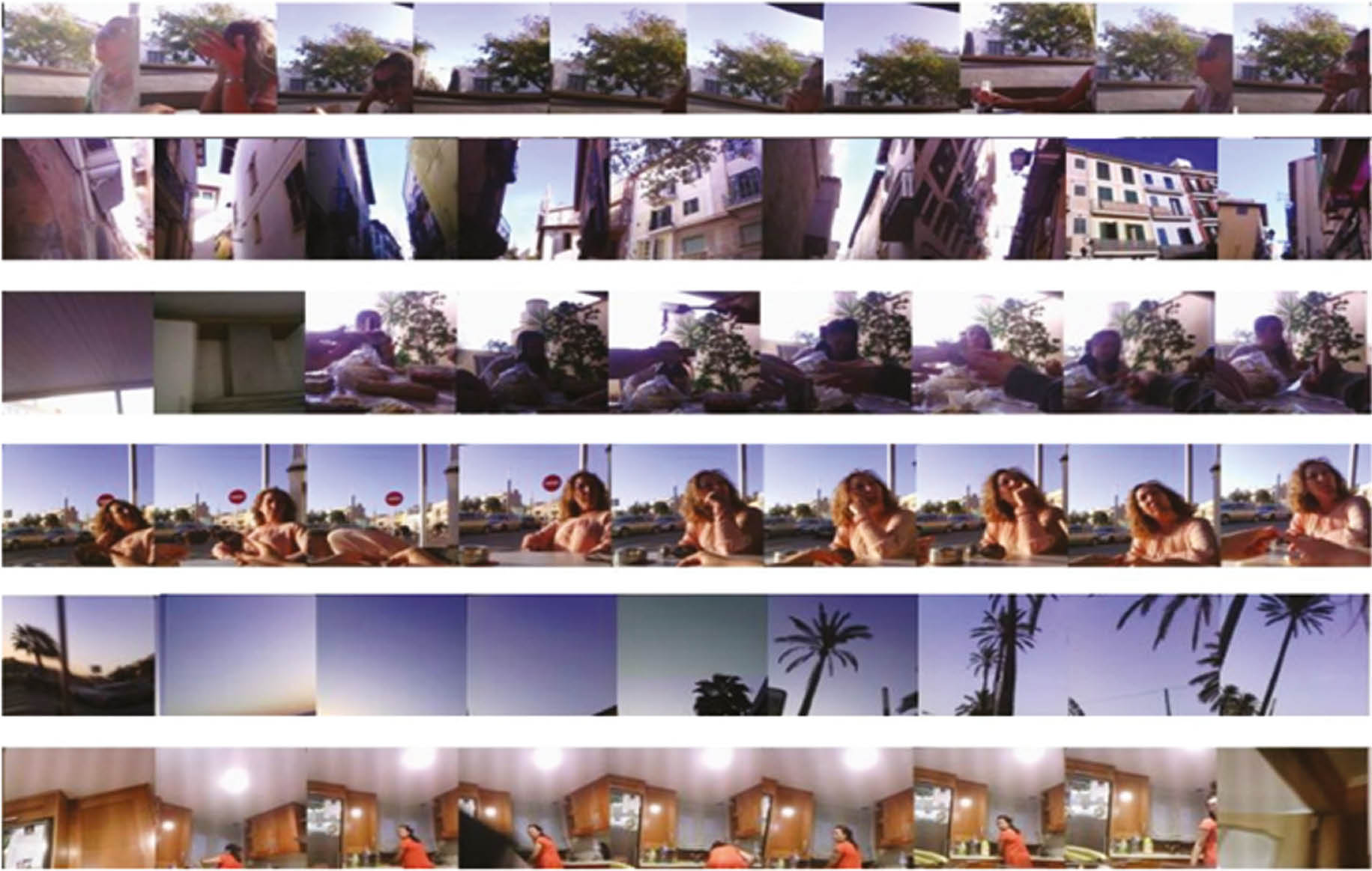 Figure 4: Example of images of the EDUB dataset acquired.