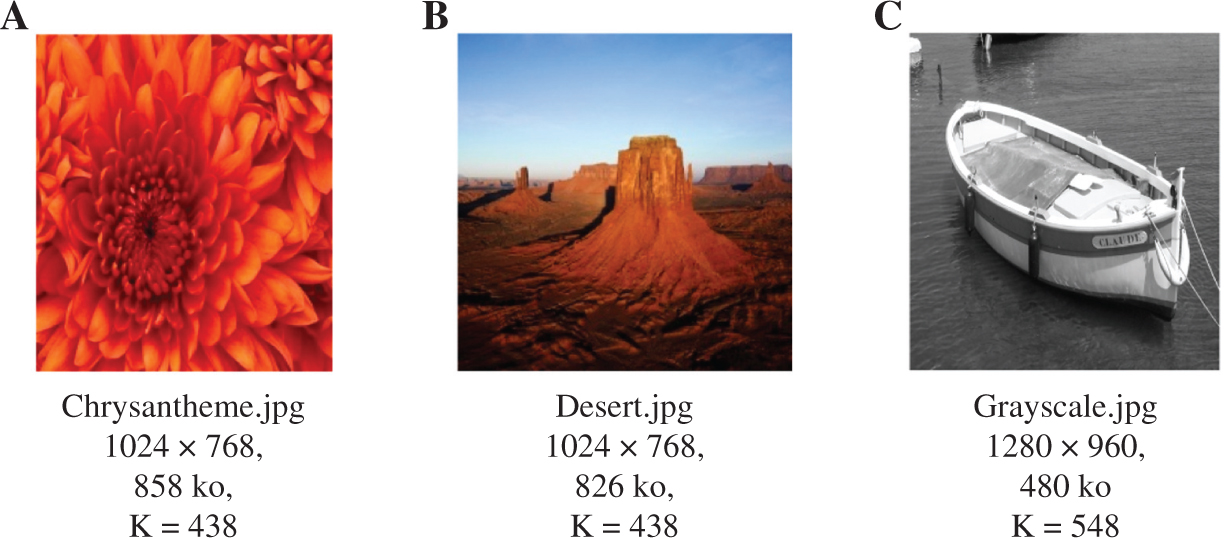 Figure 5: Original Images.
(A) Chrysantheme, (B) desert, and (C) grayscale.