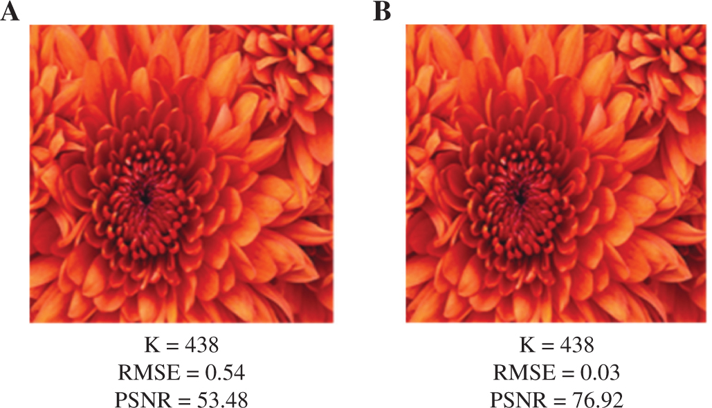 Figure 6: Compressed Results.
Compressed results obtained by (A) MATLAB’s SVD function [11] and (B) the proposed method.