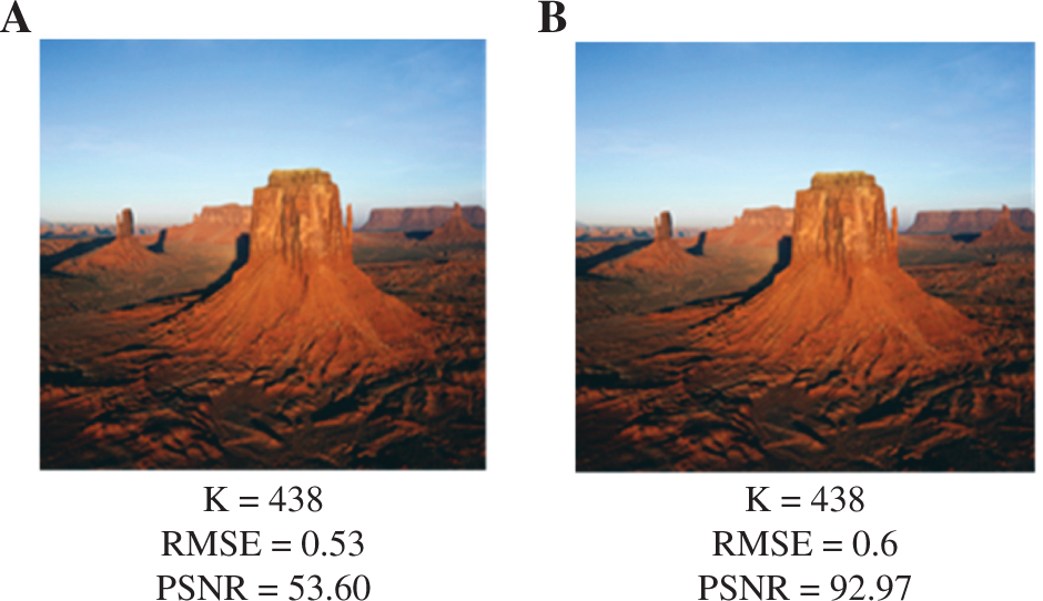 Figure 7: Compressed Results.
Compressed results obtained by (A) MATLAB’s SVD function [11] and (B) the proposed method.
