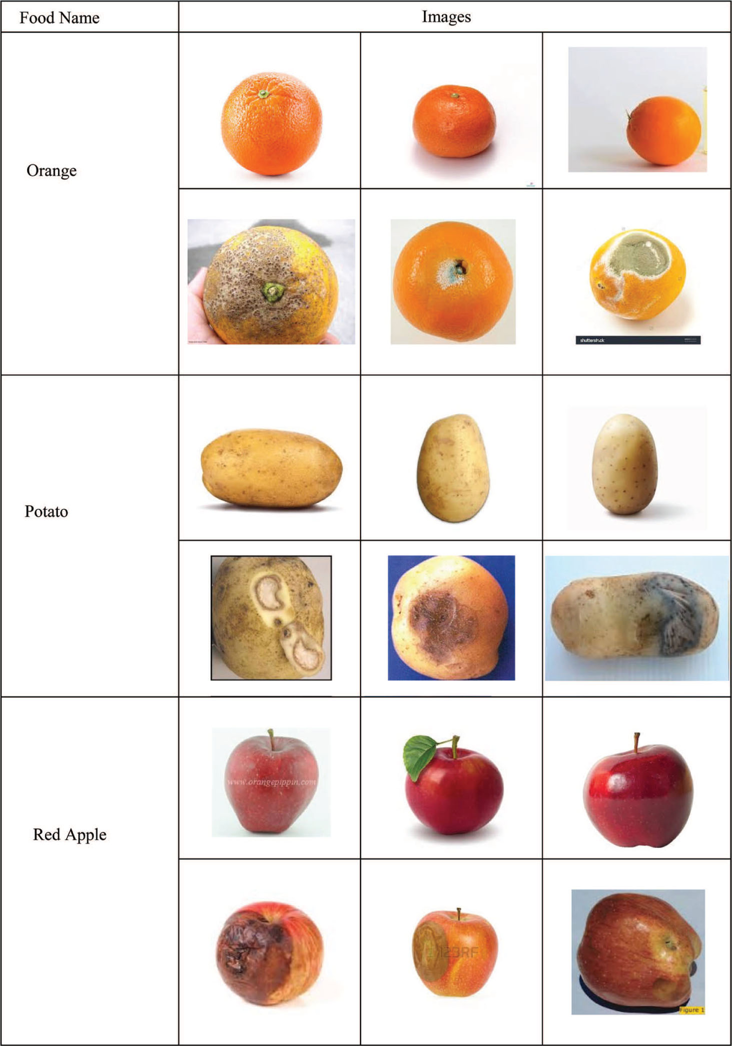 Figure 5: Input Database Images.