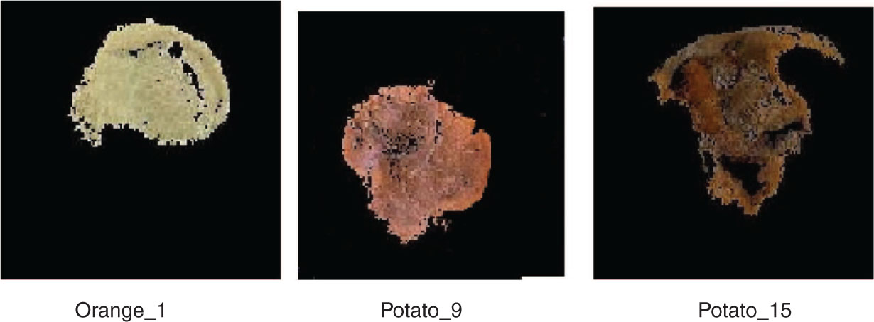 Figure 8: Images of the Segmented Region.