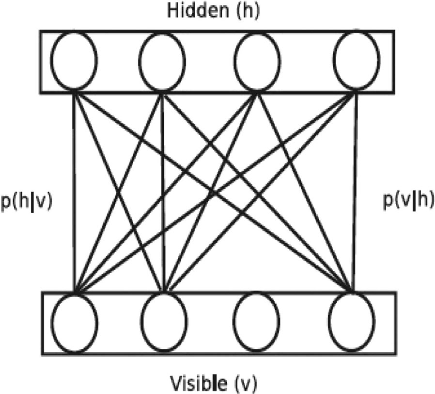 Figure 8: Block Diagram of Restricted Boltzmann Machine.