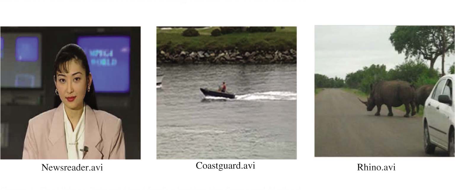 Figure 4: The Videos Dataset Used for Evaluating the Proposed Method.