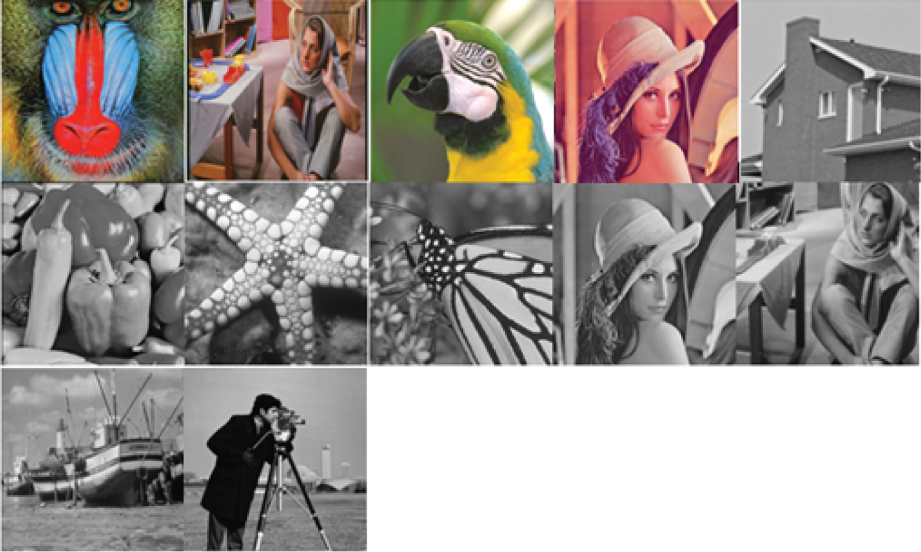 Figure 4: All Experimental Test Images.