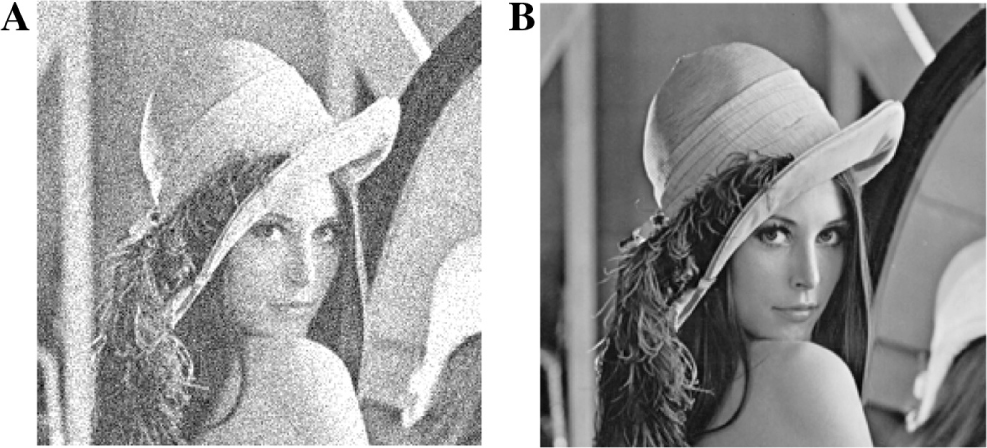Figure 5: Analysis of Visual Quality of Restored Image (Salt and Pepper Noise in σ = 10%; PSNR = 39.75 dB, SSIM = 0.9234).
(A) Input image, (B) restored image.