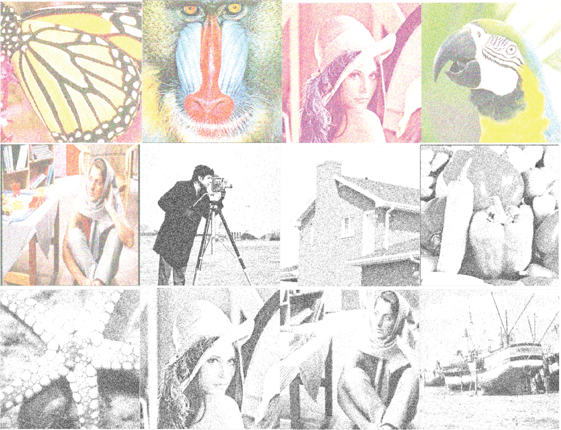 Figure 6: Noisy Images (Gaussian Noise in σ = 50%).