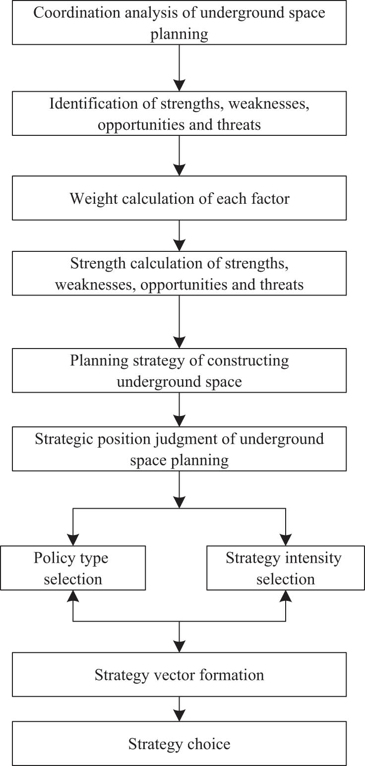 Figure 5 
                  SWOT work flow chart.
               
