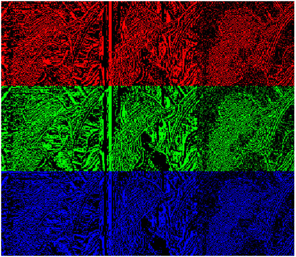 Figure 6 
                  Embedding matrix.
               