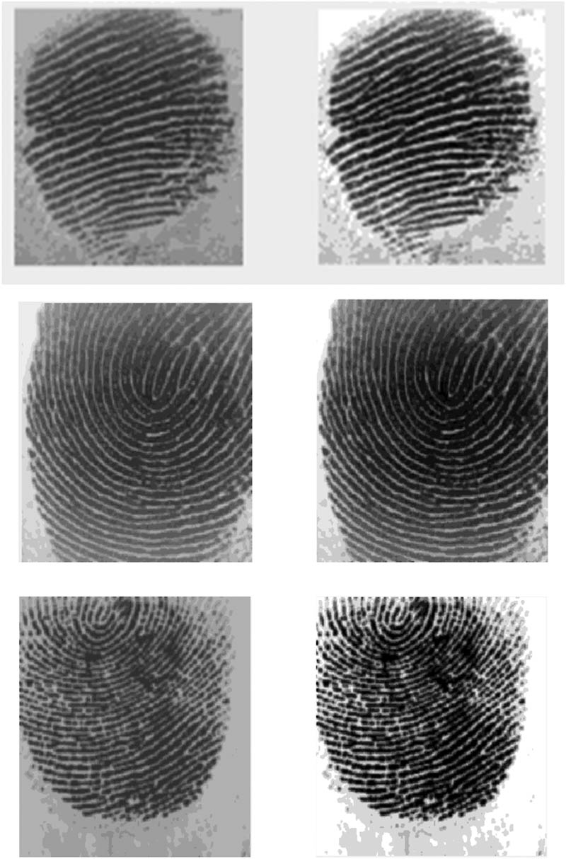Figure 4 
                  Left: original image. Right: equalized image.
               