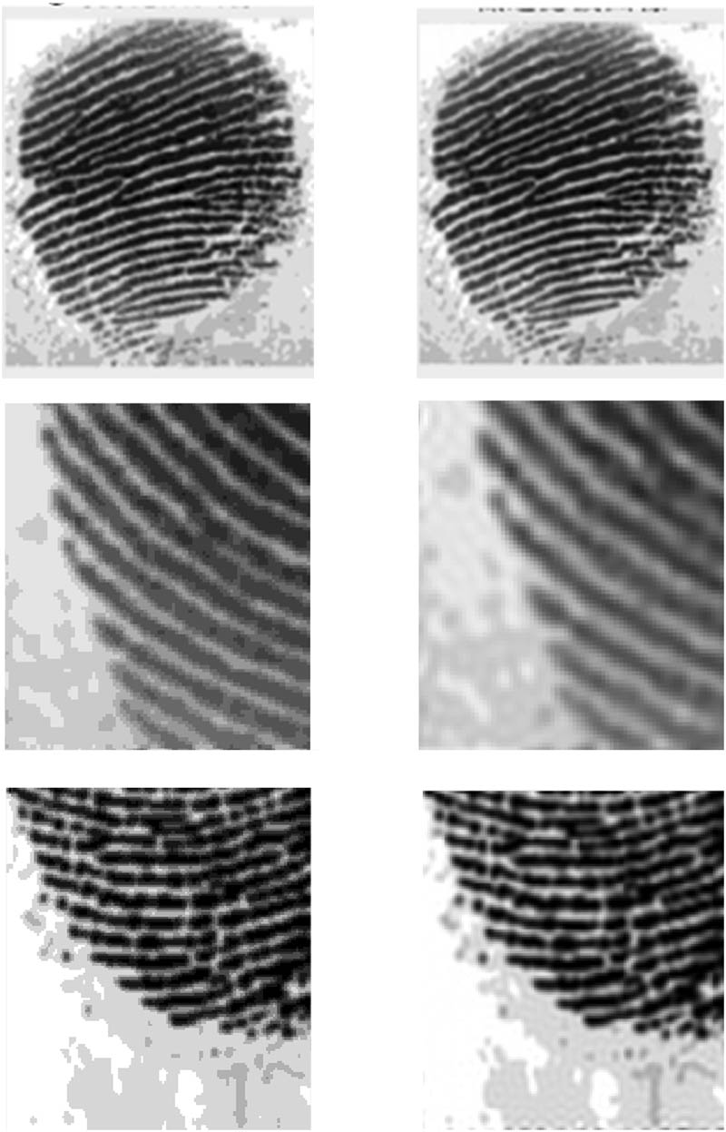 Figure 5 
                  Left: equalized image. Right: filtered image.
               