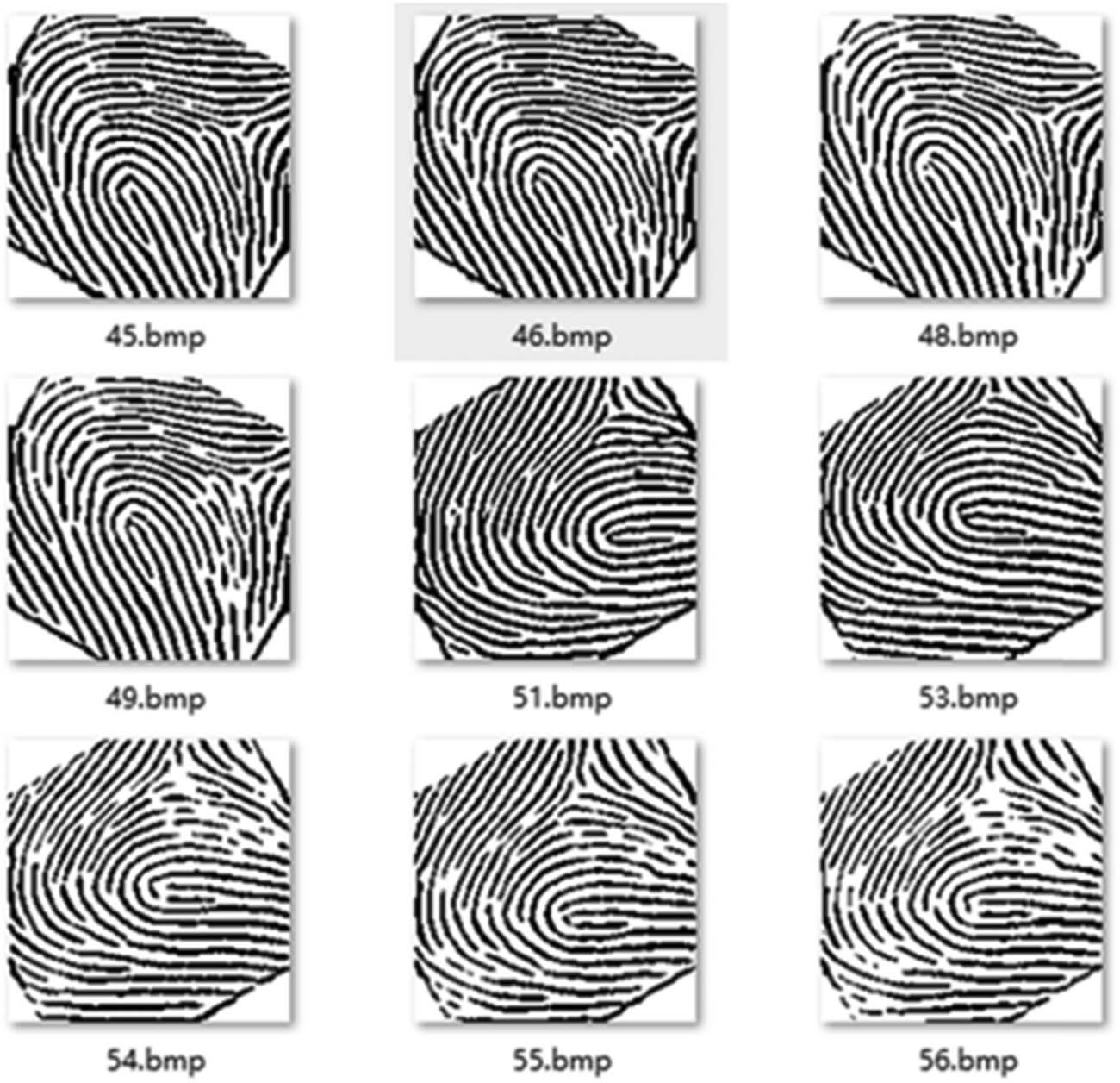 Figure 9 
                  Binarized fingerprint image database.
               