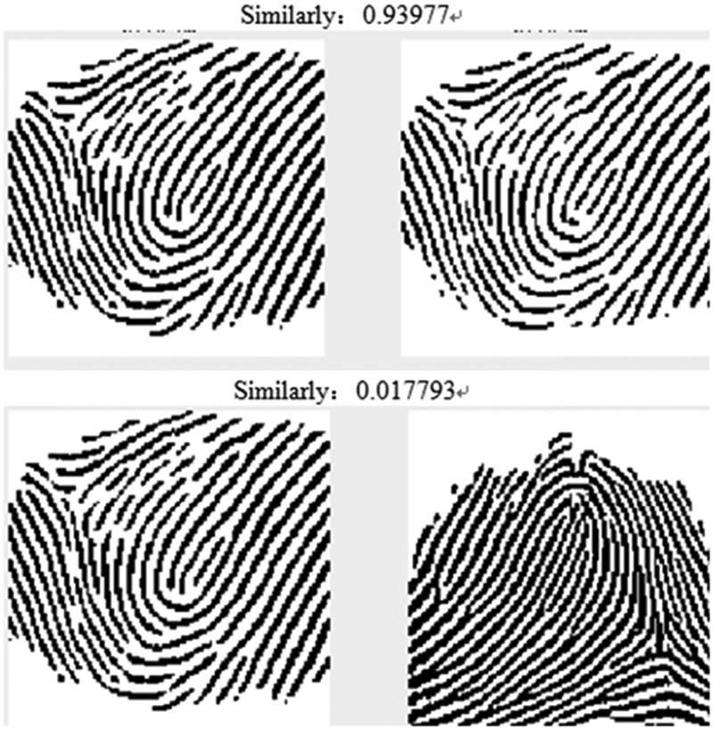 Figure 10 
                  Fingerprint matching experiment, the two images at the top were from the same fingerprint, and the two images at the bottom were from different fingerprints.
               