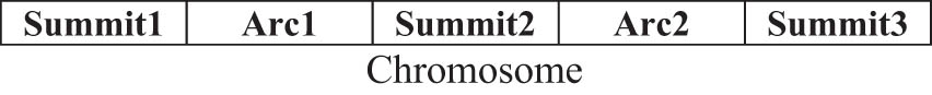 Figure 3 
                  Chromosome representation for an elementary path of 3 summits.
               