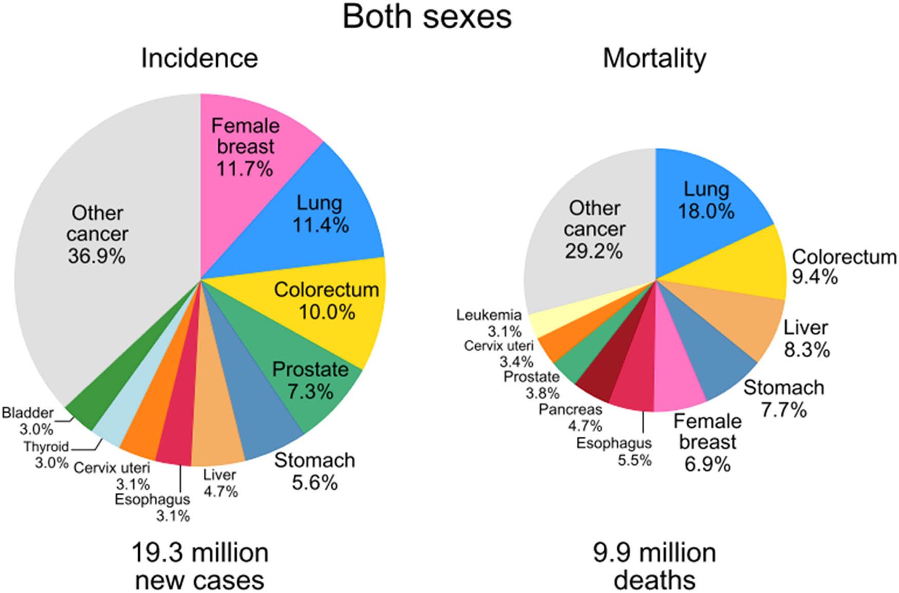 Figure 1 
               Case and mortality chart for ten most common types of cancer for both sexes [1].
            