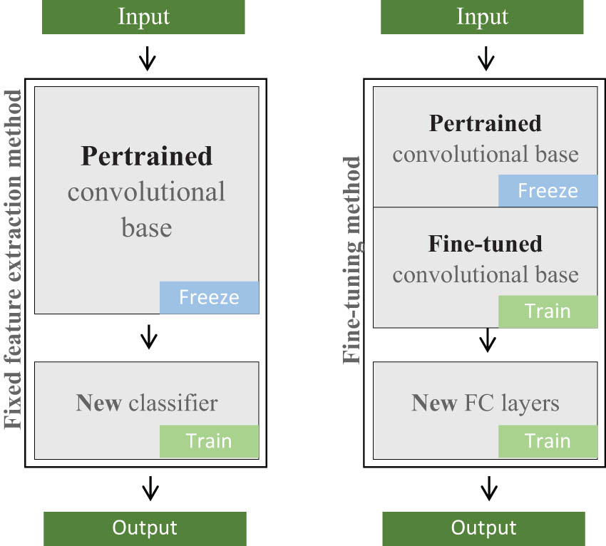 Figure 1 
                  Strategies of transfer learning [112].
               