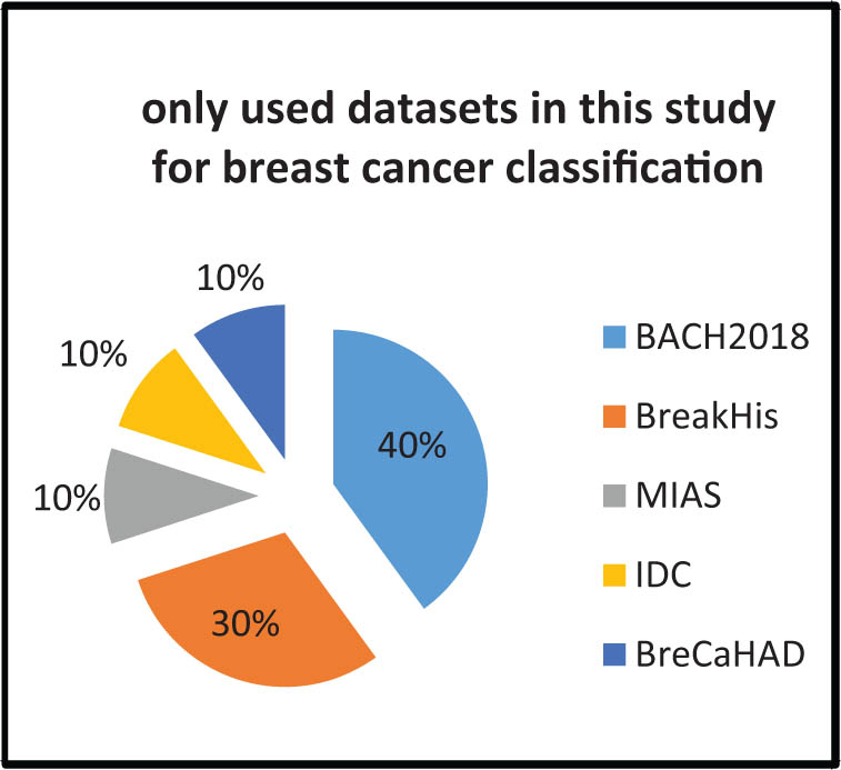 Figure 12 
                  Most commonly used datasets in this study for breast cancer classification.
               