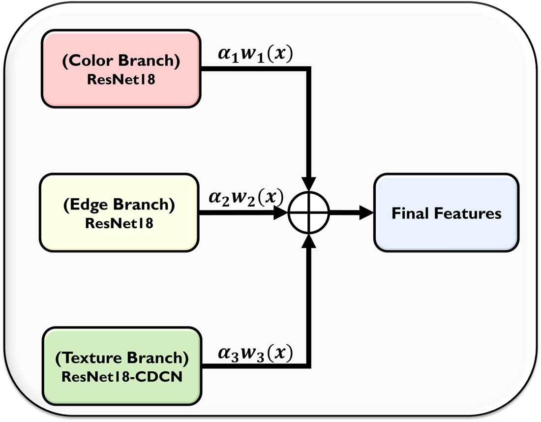 Figure 5 
                  Automatic weight updation mechanism.
               