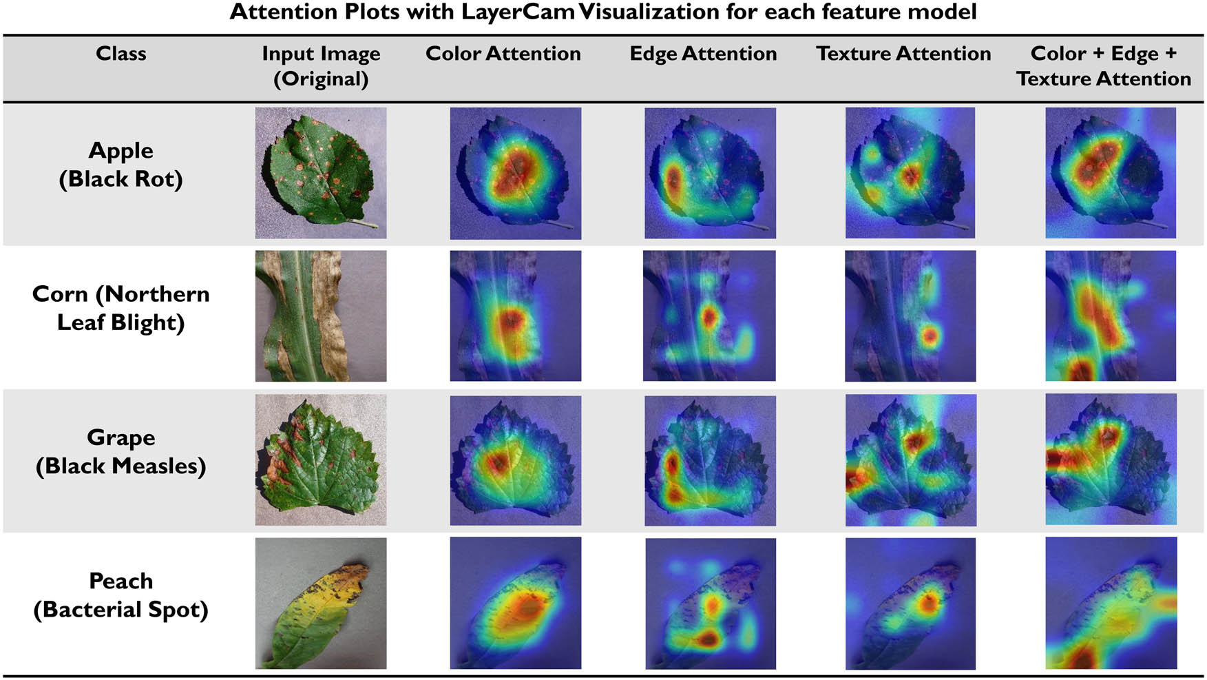 Figure 21 
                  Attention plots with LayerCAM visualization for each feature model.
               