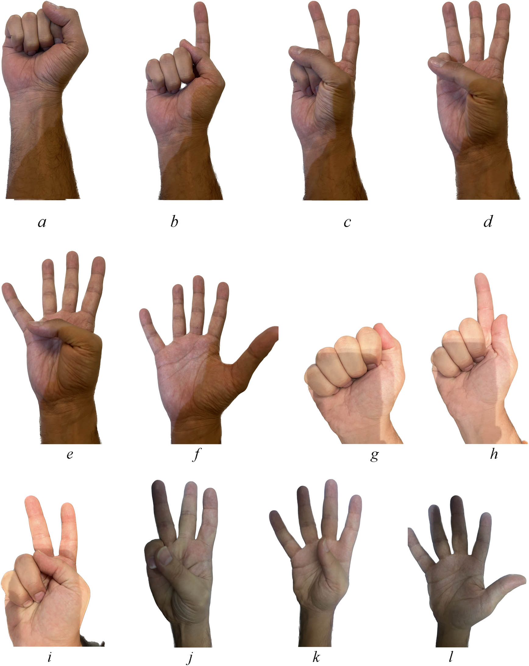 Figure 4
A sample of the dataset: a, g – dataset for stopping the system; b, h – dataset for very slow system working; c, i – dataset for slow system working; d, j – dataset for medium speed of system working; e, k – dataset for fast speed of system working; f, l – dataset for very fast speed of system working.
