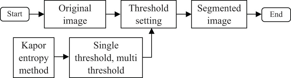Figure 2 
                  Schematic diagram of image threshold segmentation process.
               