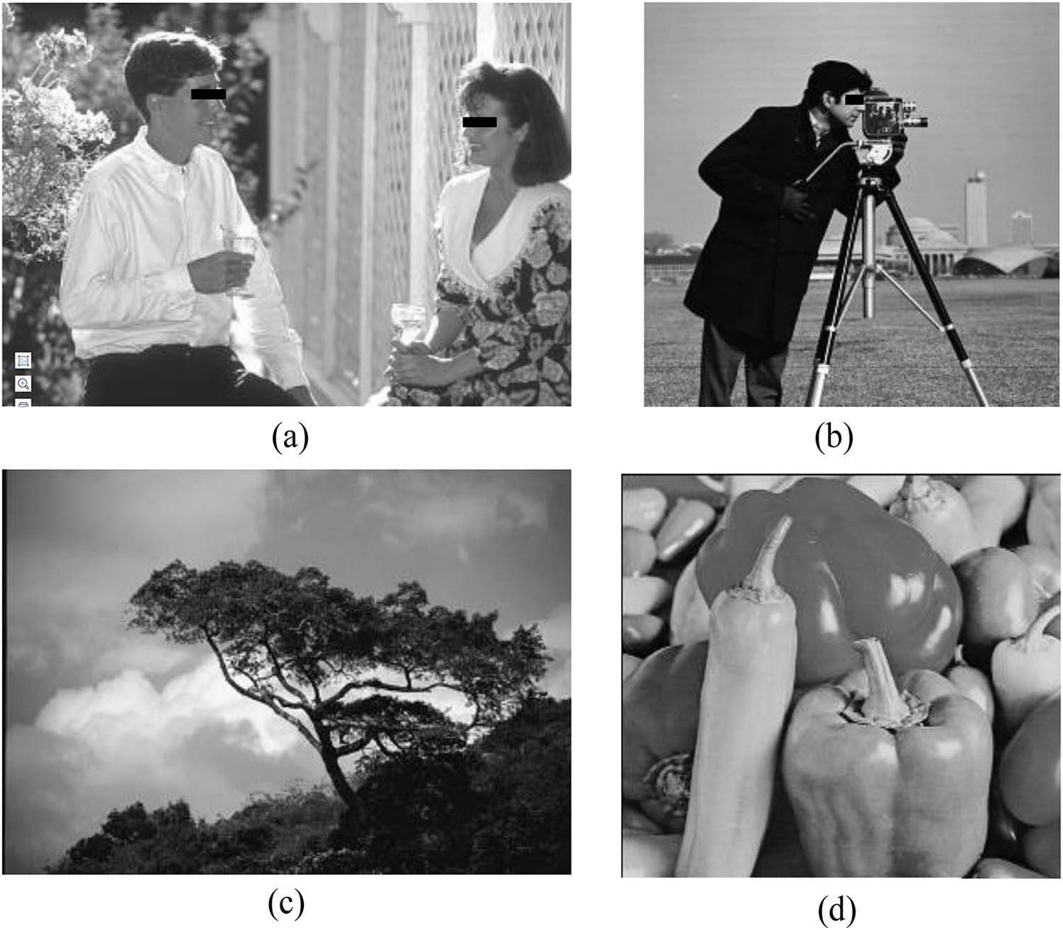 Figure 5 
               Original image of BSD data set selected for image segmentation experiment. (a) Couple, (b) cameraman, (c) tree, and (d) pepper.
            